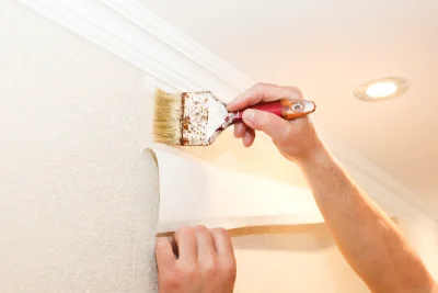 Pose de papier peint à Boissia — revêtements muraux et toiles de verre